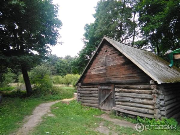 Ясная Поляна (Россия, Тульская область) фото