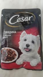Корм для собак Cesar фото