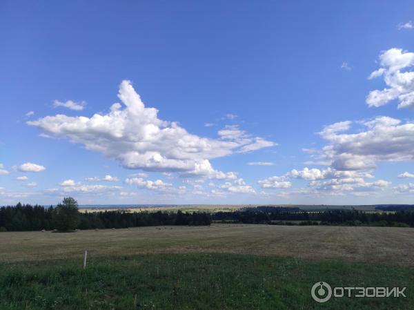Вид из окна кафе