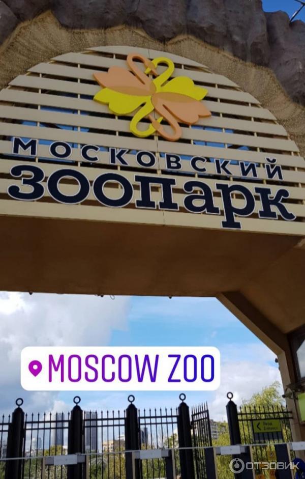 Московский зоопарк скидки