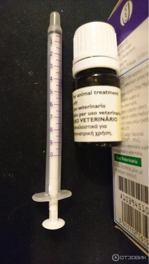 Мелоксидил Для Кошек Купить В Екатеринбурге