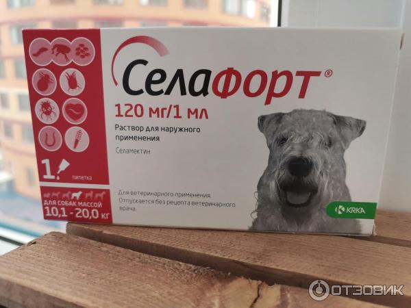 Силафорт для кошки
