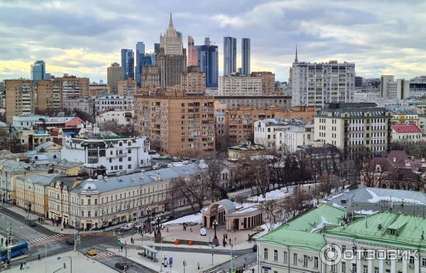 Смотровая площадка храма Христа Спасителя (Россия, Москва) фото