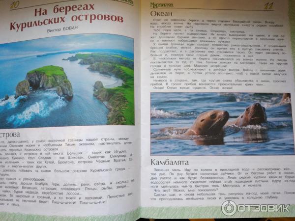 Журнал Мурзилка фото