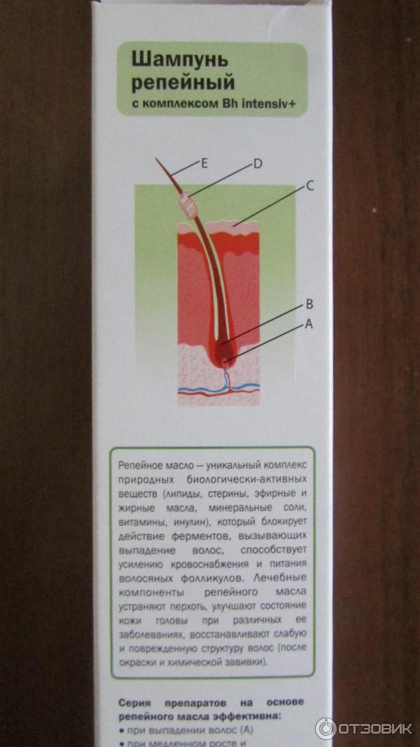 ЭЛЬФА ФАРМ ООО, Польша, Украина