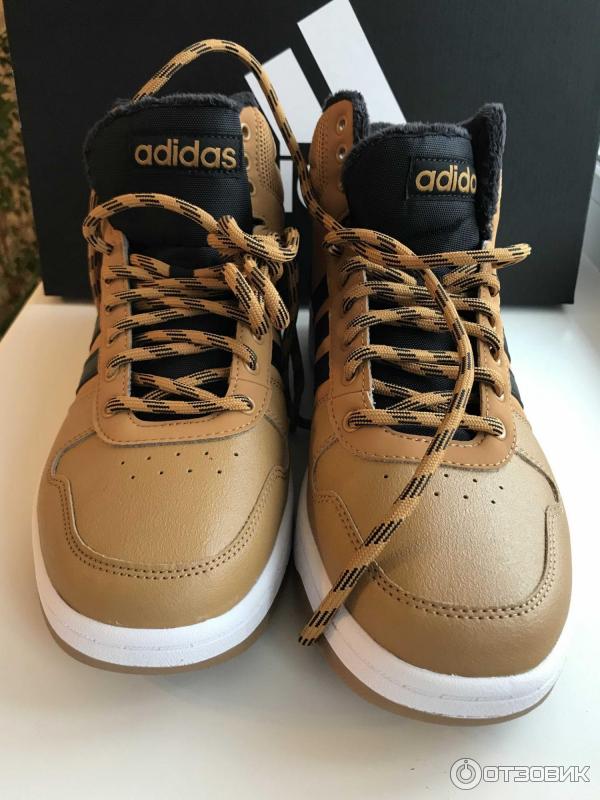 Adidas hoops cheap 2.0 mid braun