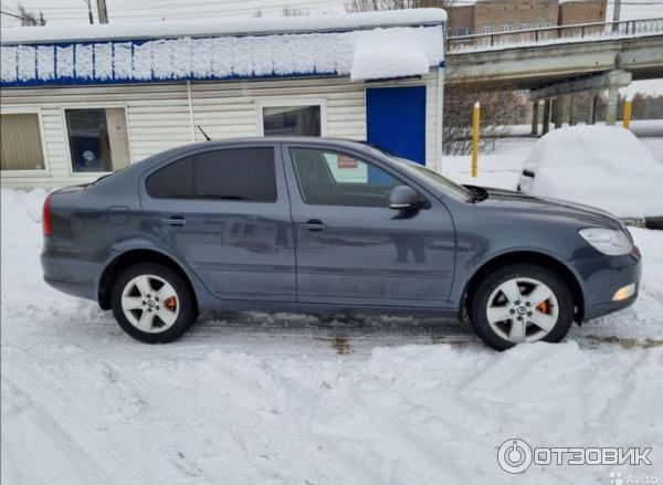 Автомобиль Skoda Octavia А5 лифтбек фото