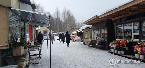 Рынок города Весьегонск