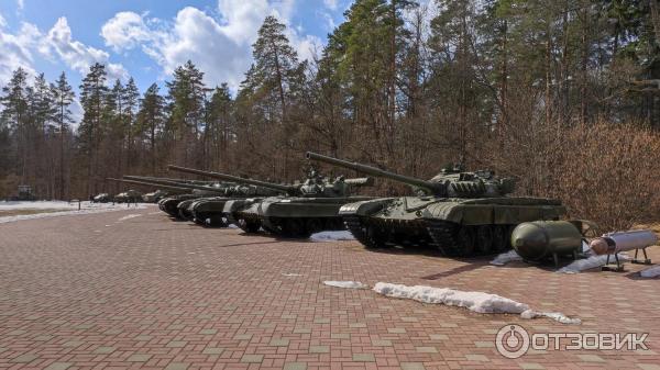 Отзыв о Мемориальный комплекс "Партизанская поляна" (Россия, Брянская ...