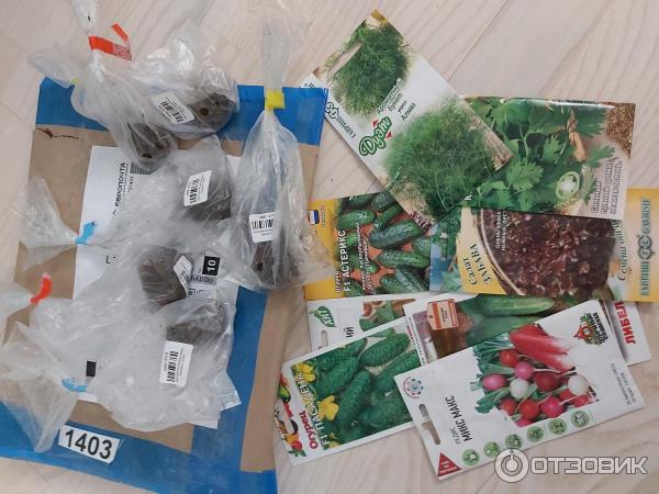 Клубни Бегонии. Семена.