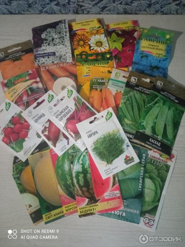 Семена от долины растений, жду не дождусь когда можно будет посадить