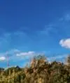 landdi