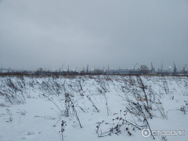 Канонерский остров
