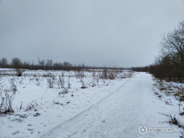 Канонерский остров