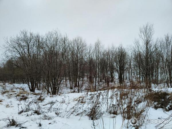 Канонерский парк