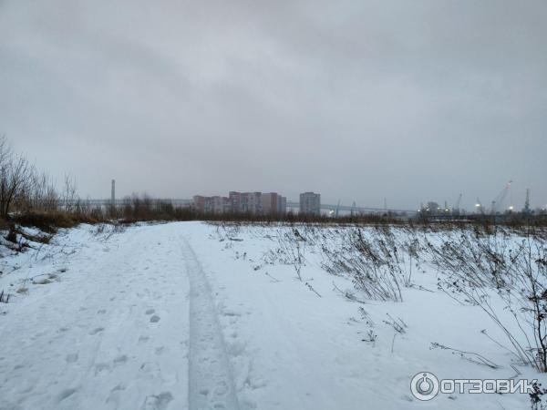 Канонерский остров
