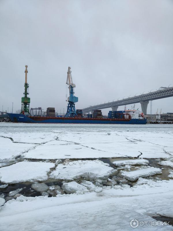 Канонерский остров
