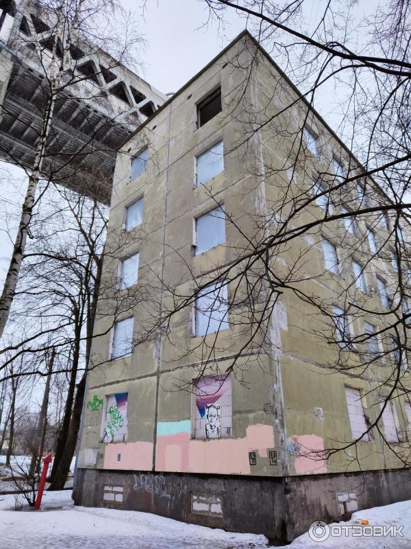 Канонерский остров