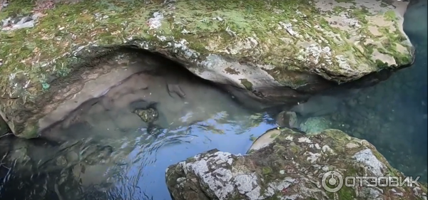 Экскурсия на горную речку и водопады (Абхазия, Черниговка) фото