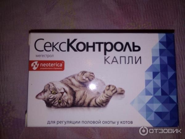 Секс Контроль Капли Для Котов Сколько Каплей Секс Контроль Капли Для Котов Сколько Каплей