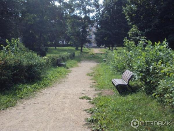 Городской сад (Россия, Старица) фото