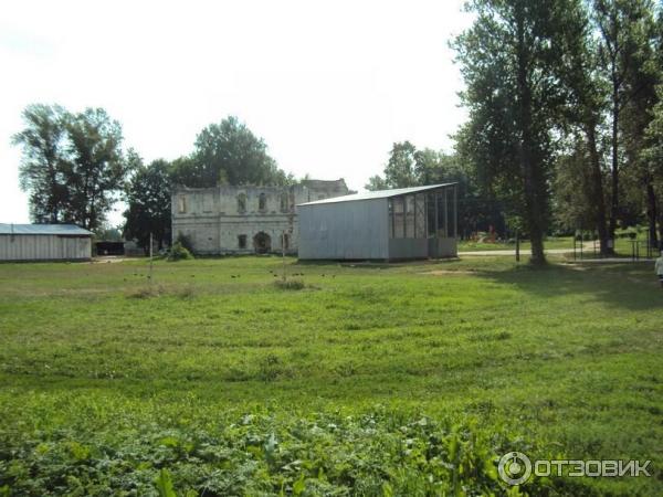 Городской сад (Россия, Старица) фото