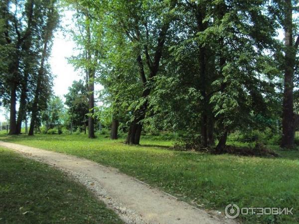 Городской сад (Россия, Старица) фото