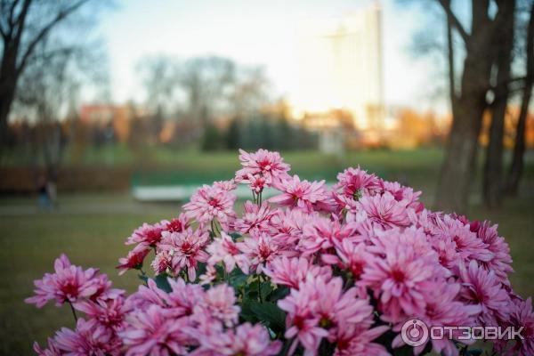 Объектив Meike 28mm f/2.8 Fuji X фото