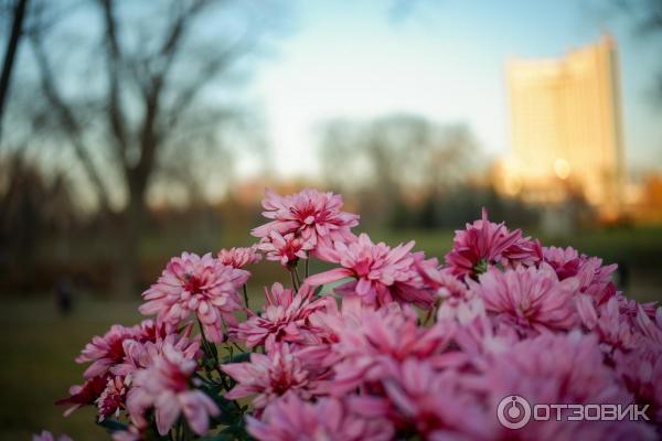 Объектив Meike 28mm f/2.8 Fuji X фото