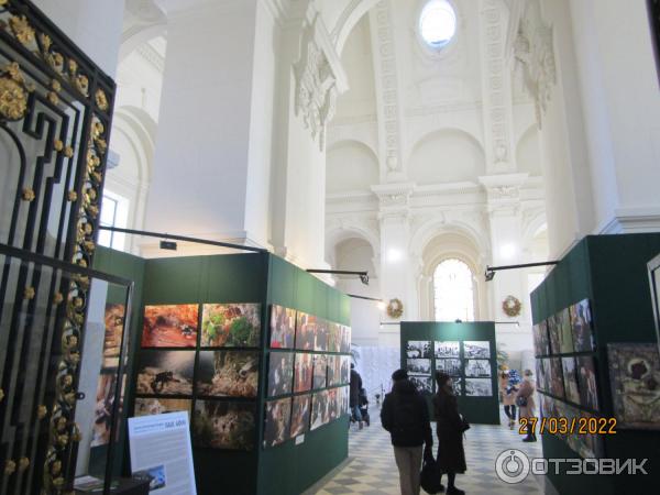 Великокняжеская усыпальница Петропавловской крепости (Россия, Санкт-Петербург) фото