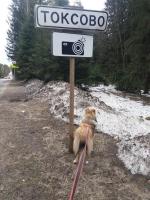 Парк семейного отдыха и экотуризма Зубровник (Россия, Токсово) фото