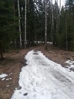 Парк семейного отдыха и экотуризма Зубровник (Россия, Токсово) фото
