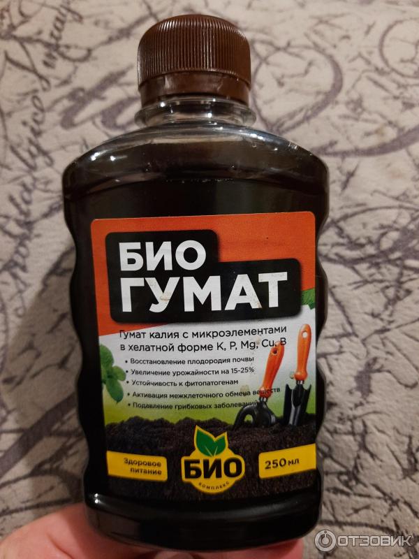 Можно ли подкормить лук гуматом Можно ли подкормить лук гуматом