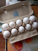 Яйца куриные "Щедрый год" фото