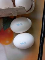 Яйца куриные "Щедрый год" фото