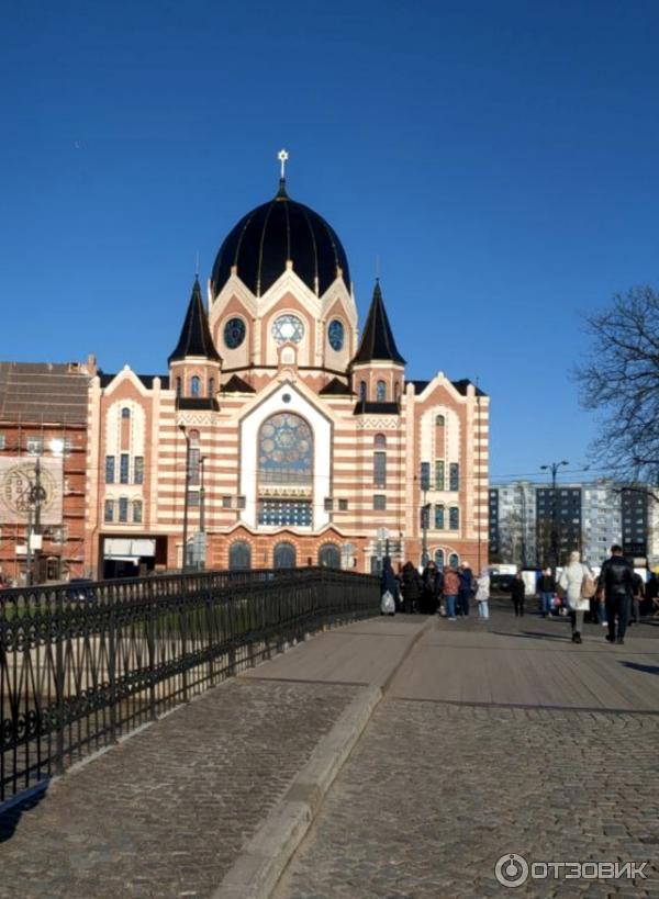 Синагога Калининграда