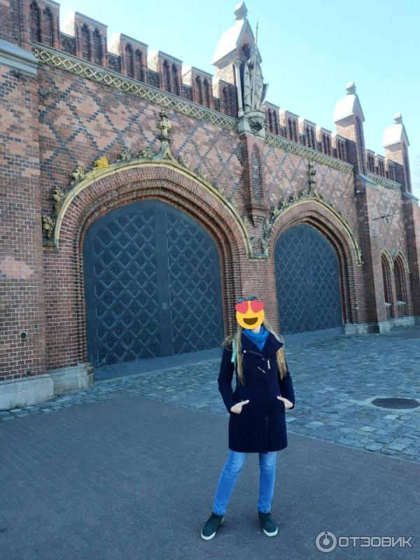 Ворота Калининград