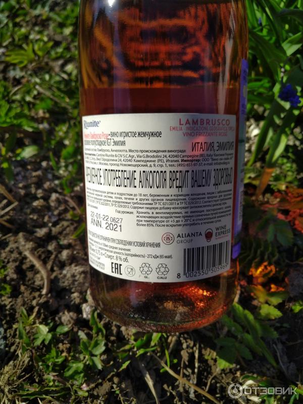 Вино Riunite Lambrusco Rose Emilia фото