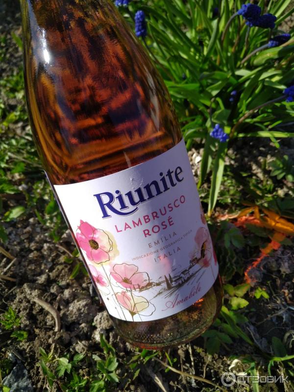 Вино Riunite Lambrusco Rose Emilia фото