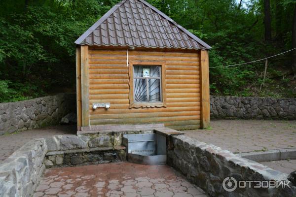 село Тюнино, святой источник