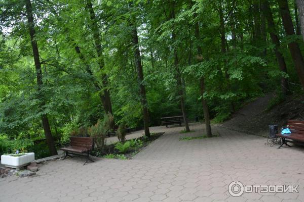 село Тюнино, святой источник