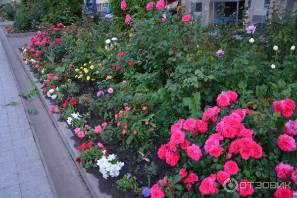 Рождество-Богородицкий мужской монастырь