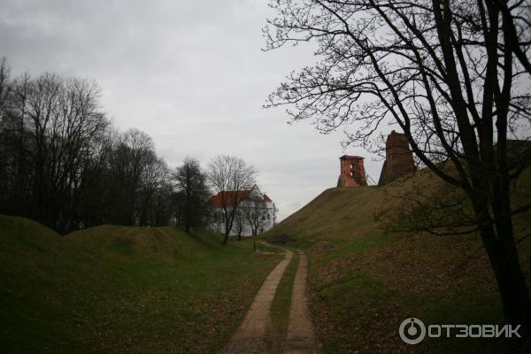 Отдых в Беларуси фото