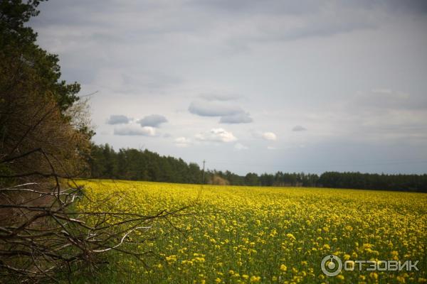 Отдых в Беларуси фото