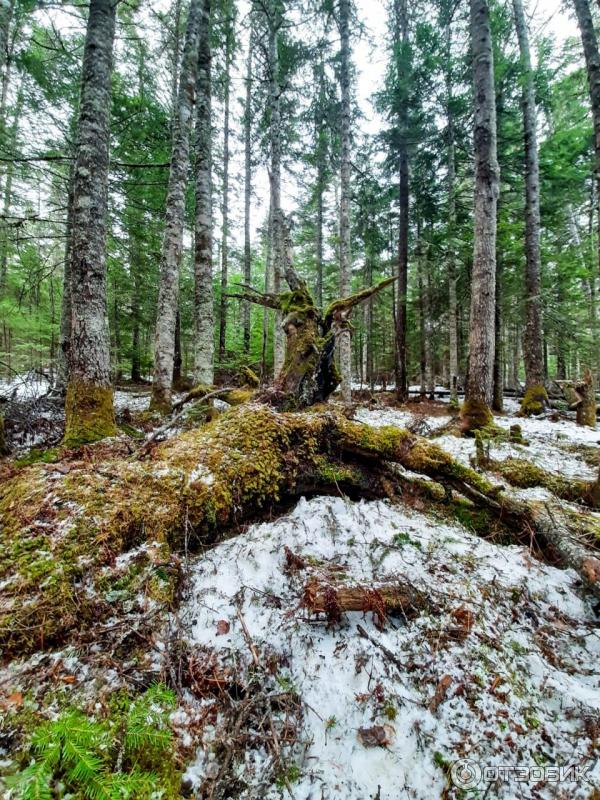 Отдых в Советской Гавани (Россия, Хабаровский край) фото