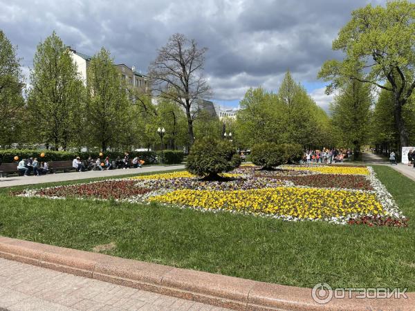 Олимпиада Музеи. Парки. Усадьбы (Россия, Москва) фото