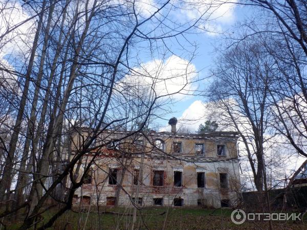 Фасад здания со стороны парка