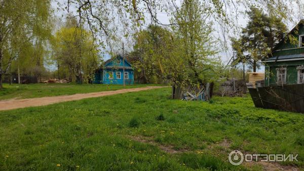 Храм Преображения Господня (Россия, Красное) фото