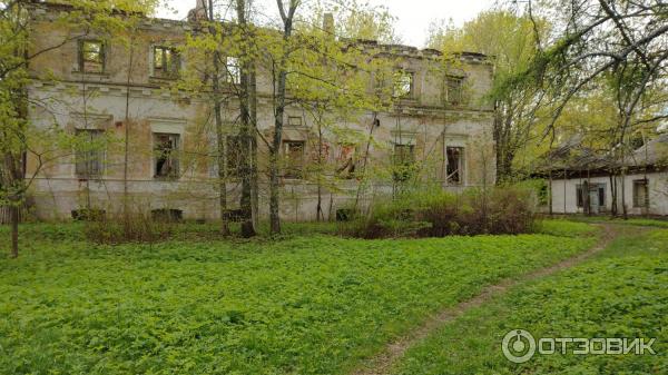 Храм Преображения Господня (Россия, Красное) фото