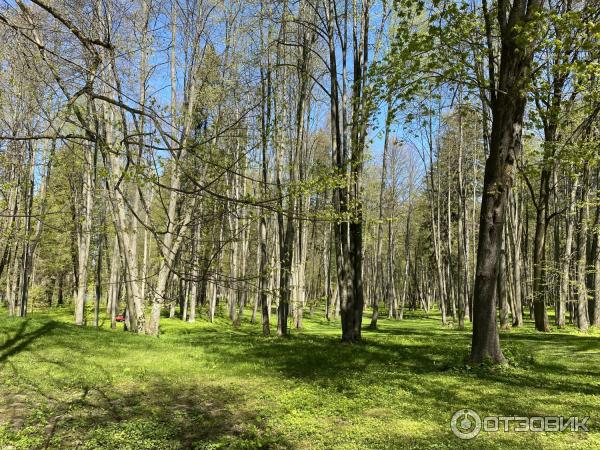 Усадьба Степановское-Волосово (Россия, Тверская область) фото